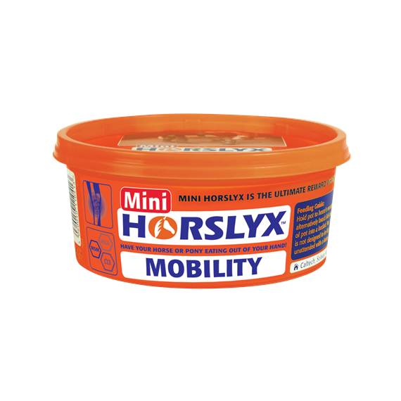 Mobility  Horslyx slikkesten