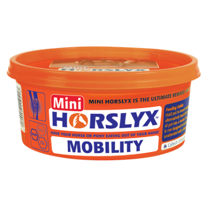 Mobility  Horslyx slikkesten