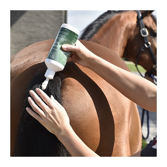 Anti Itch liniment fra Blue Hors