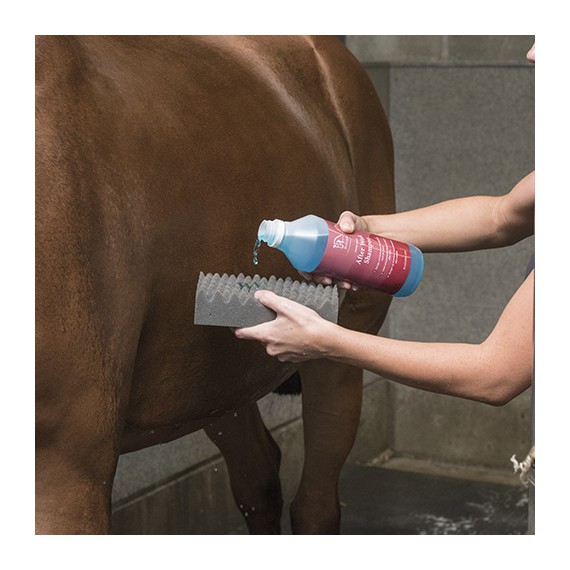 Magic Sponge fra Blue Hors