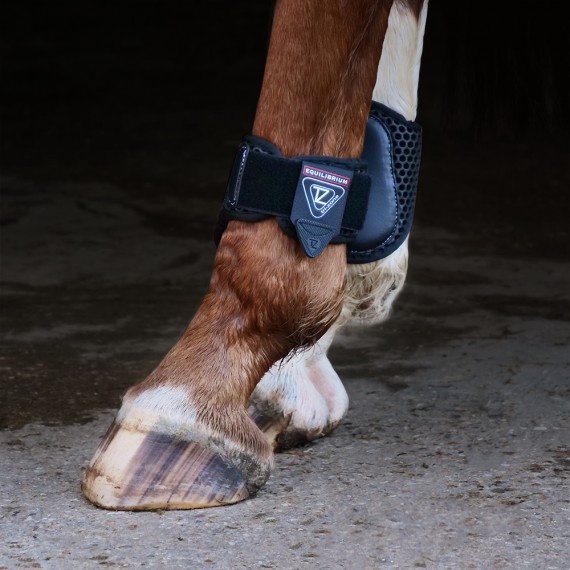 Tri-Zone Fetlock boots fra Equilibrium