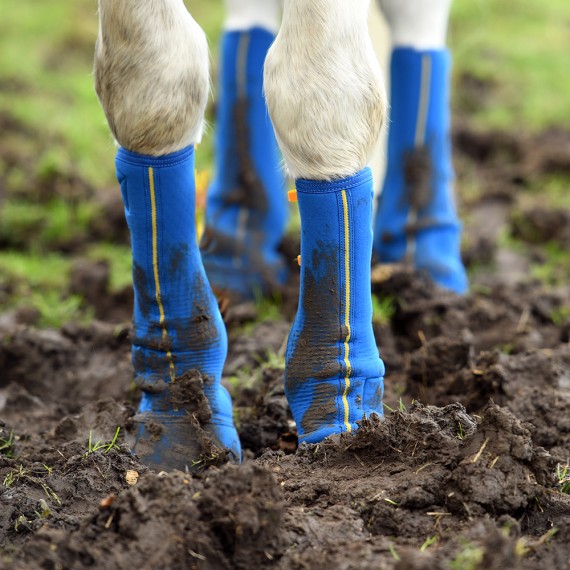 Paddock Belegg fra Equilibrium