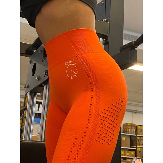 Equine LTS Tights