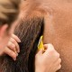 Equi-Shave fra Smart Grooming