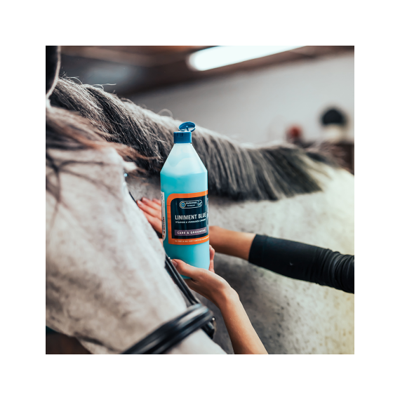 Blue Liniment fra Eclipse Biofarmab