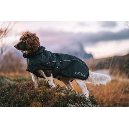 Vinter Hundedekken FIR TECH