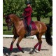 Dressur Schabrak Bordeaux fra ES