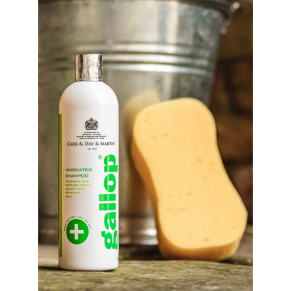 CDM Gallop Medicated Shampoo