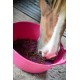 Graze Paste fra Likit
