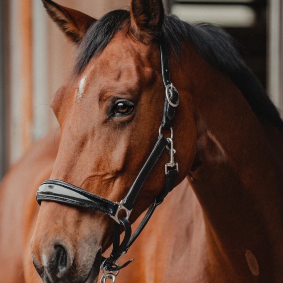 Lærgrime GLAMOUROCK fra Brisque Bridlewear