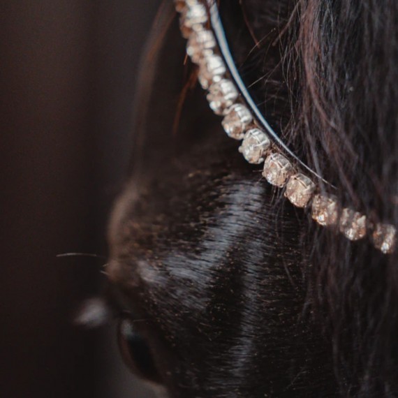 Rundsydd Perfection on the Rocks hodelag fra Brisque Bridlewear
