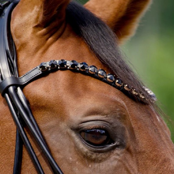 Rundsydd Perfection on the Rocks hodelag fra Brisque Bridlewear