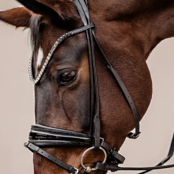 Rundsydd Perfection on the Rocks hodelag fra Brisque Bridlewear