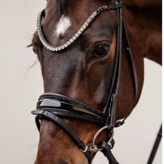 Rundsydd Perfection on the Rocks hodelag fra Brisque Bridlewear