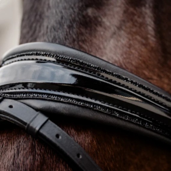 Rundsydd Perfection on the Rocks hodelag fra Brisque Bridlewear