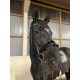 Rundsydd Perfection on the Rocks hodelag fra Brisque Bridlewear