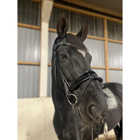 Rundsydd Perfection on the Rocks hodelag fra Brisque Bridlewear