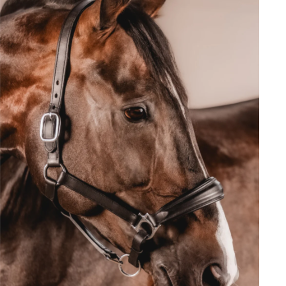 Lærgrime klassisk fra Brisque Bridlewear