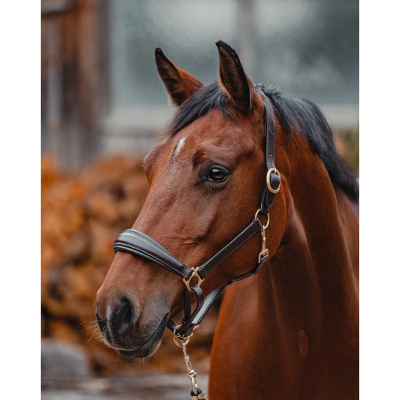 Lærgrime klassisk fra Brisque Bridlewear