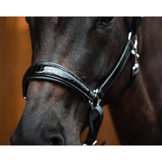 Lærgrime TOPCROC fra Brisque Bridlewear