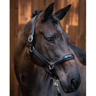 Lærgrime TOPCROC fra Brisque Bridlewear