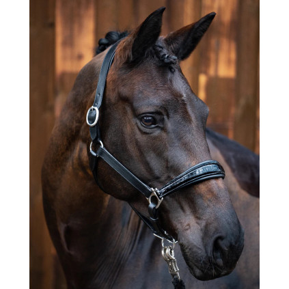 Lærgrime TOPCROC fra Brisque Bridlewear