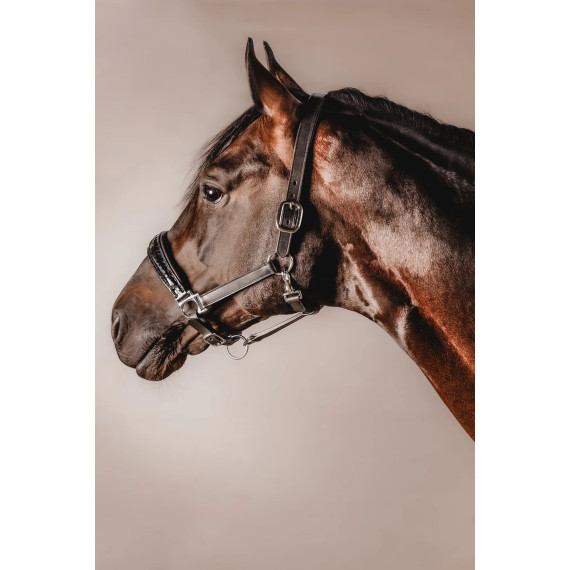 Lærgrime TOPCROC fra Brisque Bridlewear