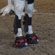 Ultra Jogging Shoe fra EquineFusion