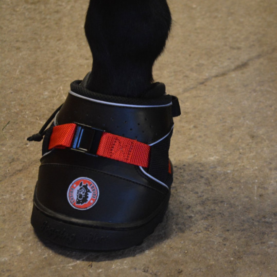 Ultra Jogging Shoe fra EquineFusion