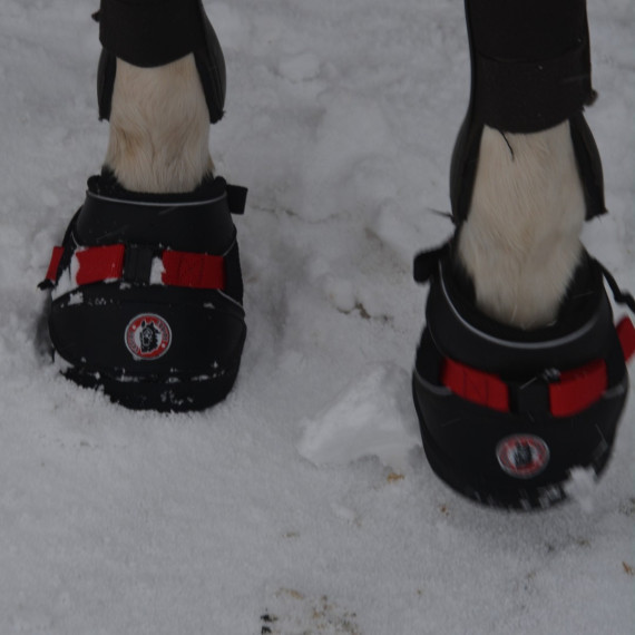 Ultra Jogging Shoe fra EquineFusion