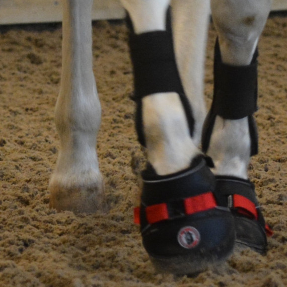 Ultra Jogging Shoe fra EquineFusion