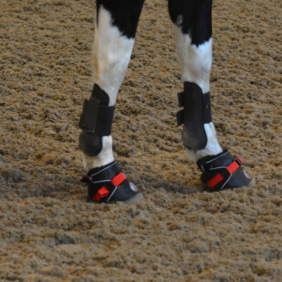 Ultra Jogging Shoe fra EquineFusion
