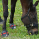 Ultra Jogging Shoe fra EquineFusion