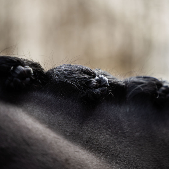 5-Star Braiding gel fra Leovet