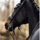 Tøyler Kandar rundsydde  fra Brisque Bridlewear