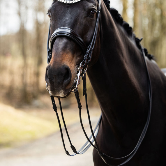 Tøyler Kandar rundsydde  fra Brisque Bridlewear