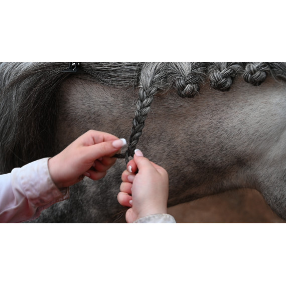 Plaiting Mousse  fra Smart Grooming