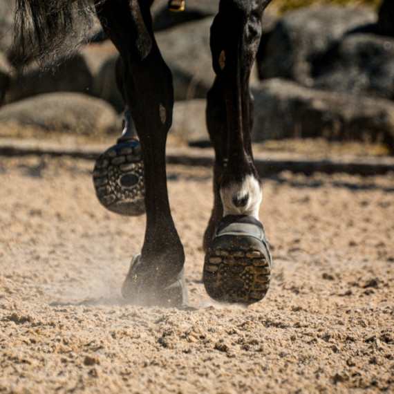 Active Jogging Shoe fra EquineFusion