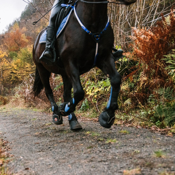 Active Jogging Shoe fra EquineFusion