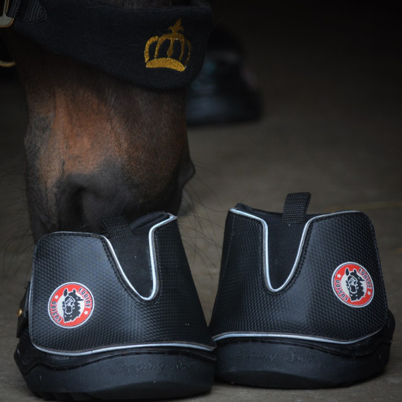 Active Jogging Shoe fra EquineFusion