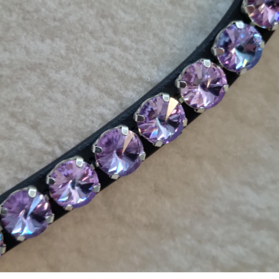Pannereim Wish fra Brisque Bridlewear