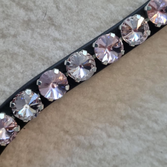 Pannereim Wish fra Brisque Bridlewear