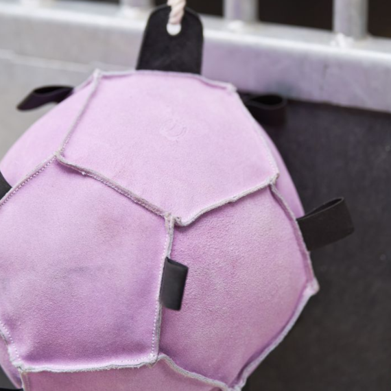 Hesteleke Ball  fra Imperial Riding