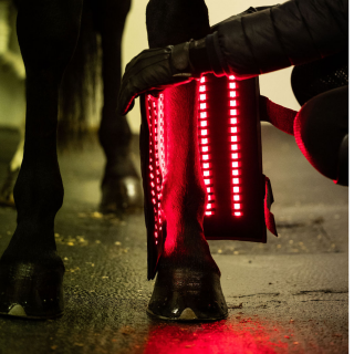 Demo - LTS RED sett 2 stk fra Equine LTS