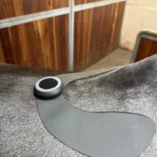 Ekstra pad TENS stor  fra Equinelts