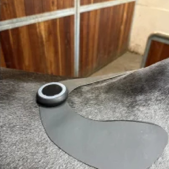 Ekstra pad TENS stor  fra Equinelts