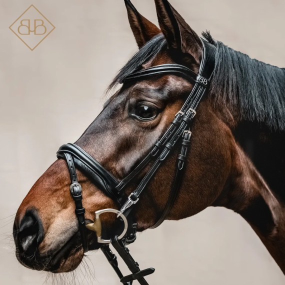 Hodelag REFINE fra Brisque Bridlewear