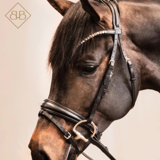 Hodelag Presice fra Brisque Bridlewear