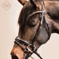 Hodelag Presice fra Brisque Bridlewear