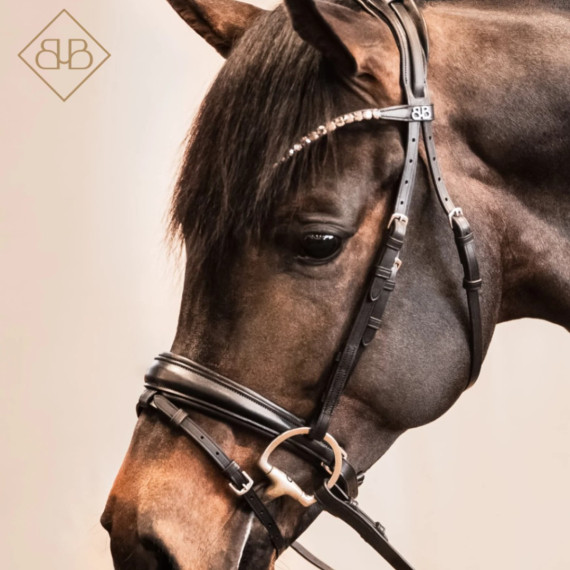 Hodelag Presice fra Brisque Bridlewear